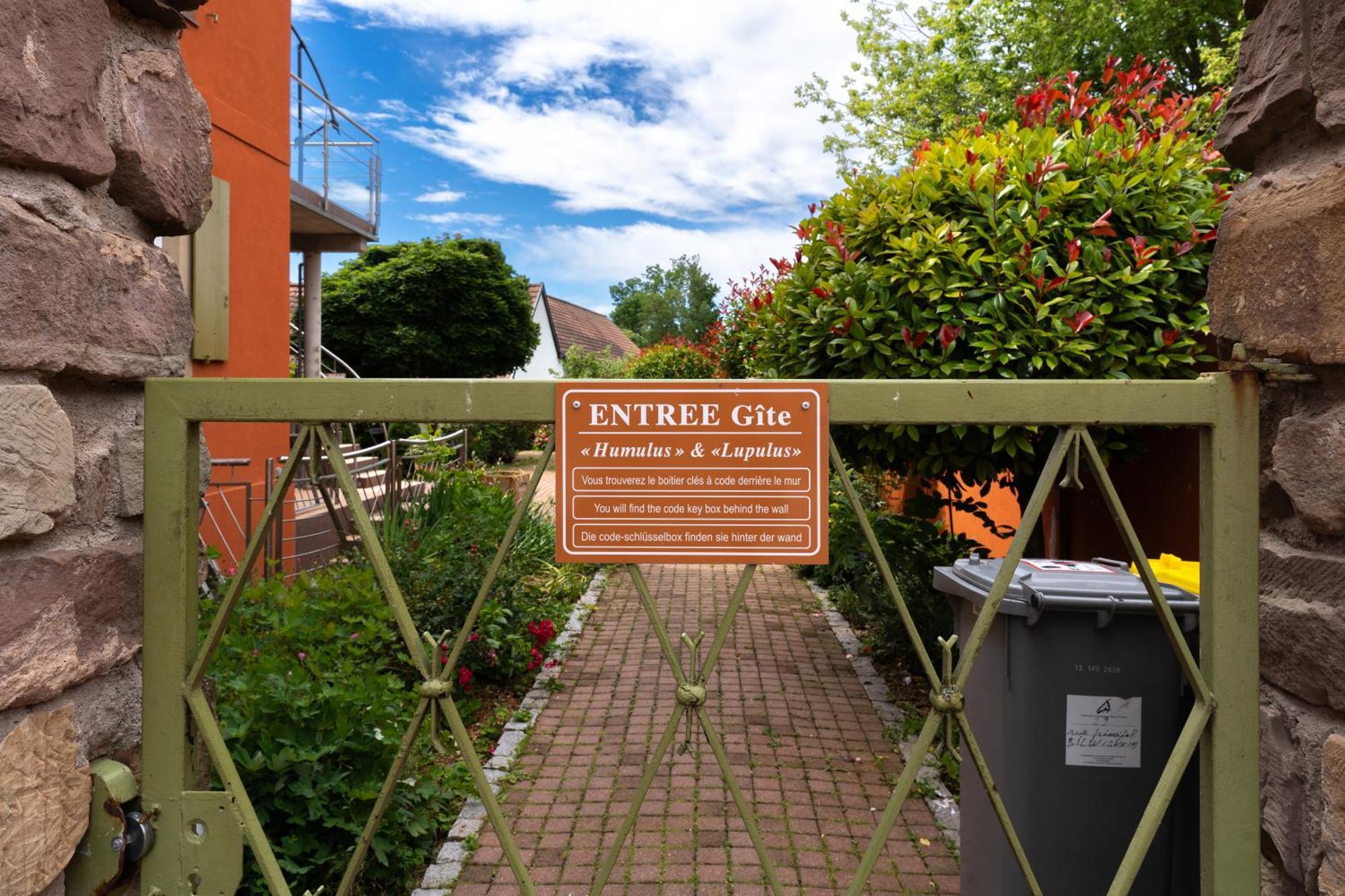 Le Gite 'Humulus' Bilwisheim Eksteriør billede